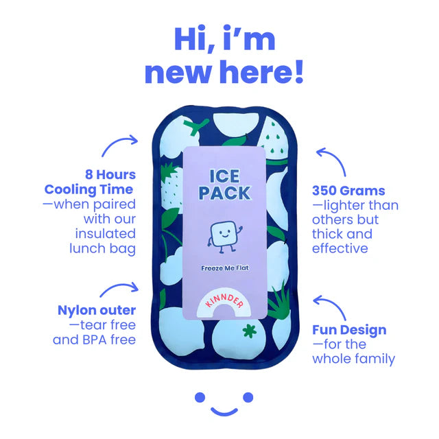 Insulated Bag + Ice Brick